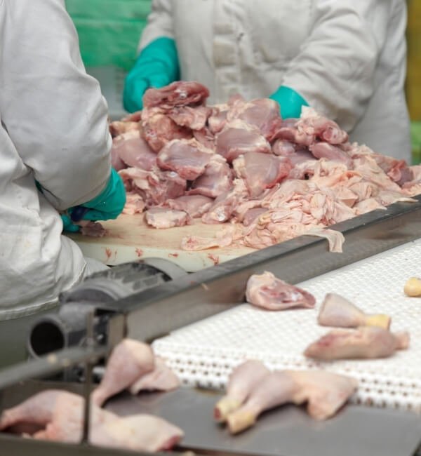 Food Industry