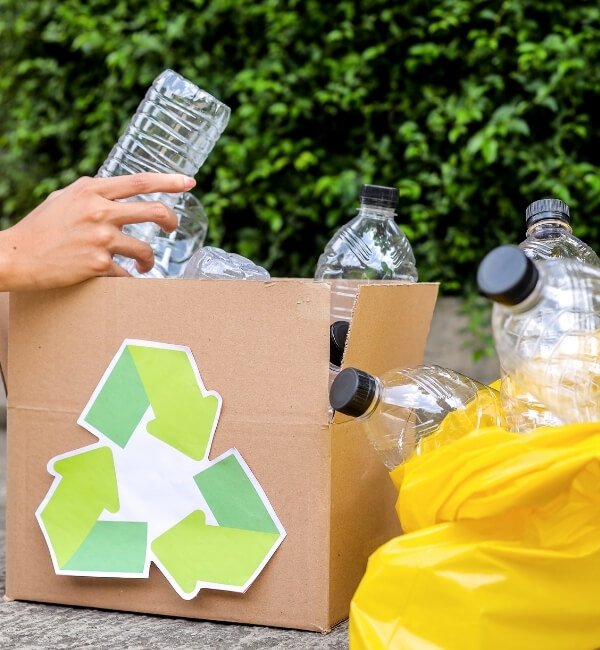 Waste Collection & Treatment
